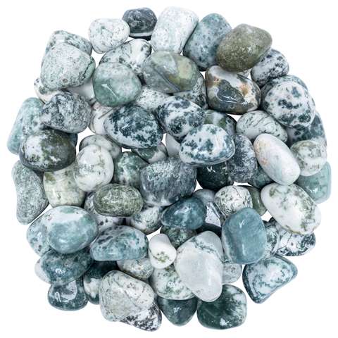 Tree agate Crystals Tumble Stone