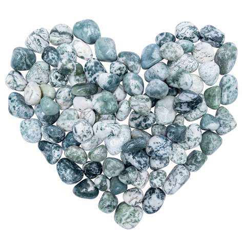 Tree agate Crystals Tumble Stone